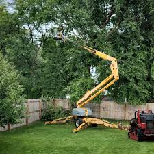 Best Hazardous Tree Removal  in Apollo, PA